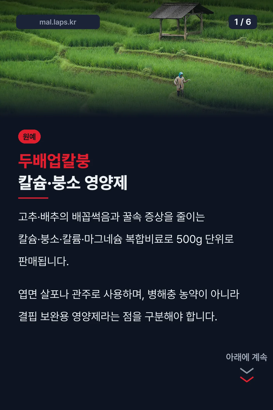 두배업칼붕 칼슘·붕소 영양제