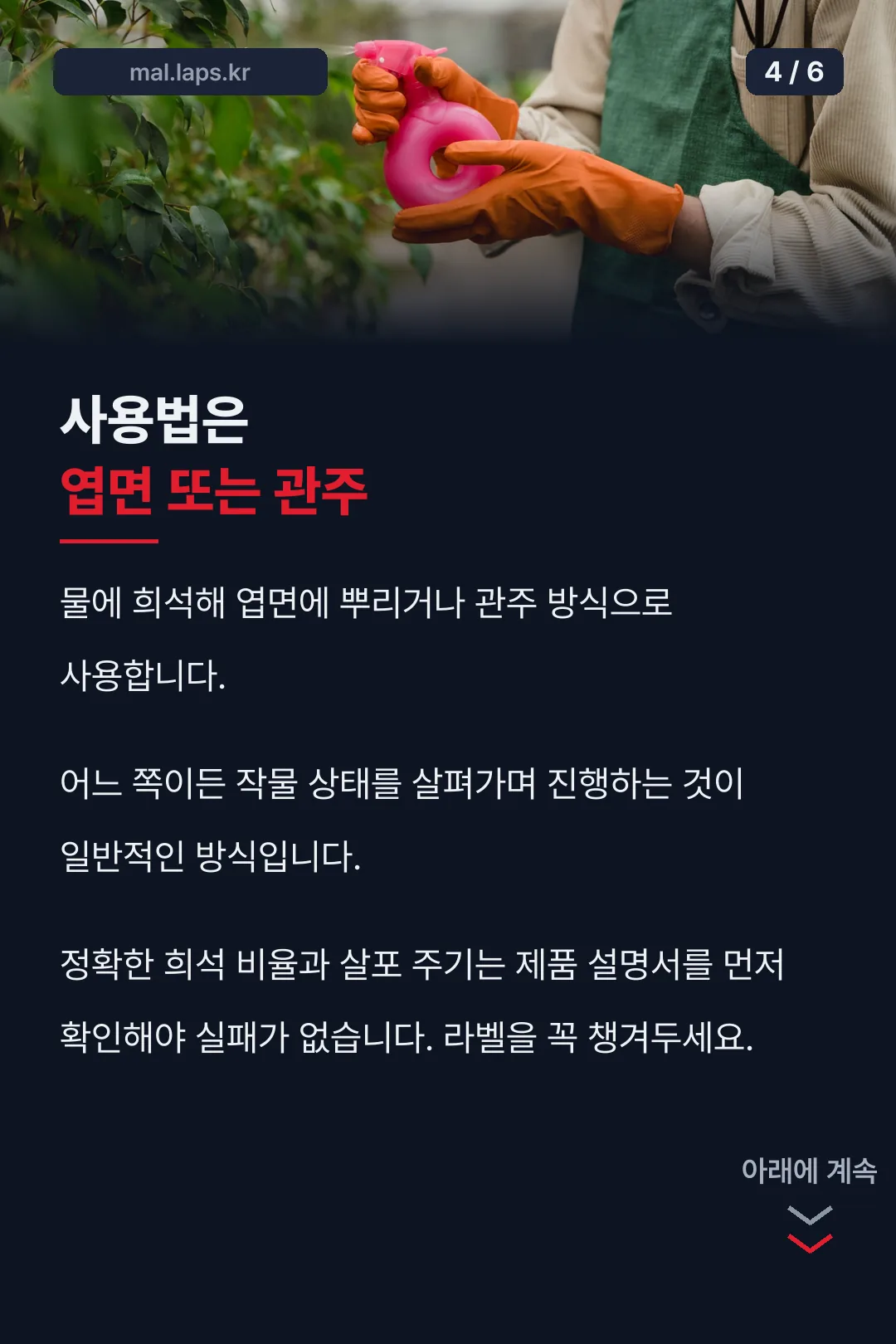 사용법 엽면 관주