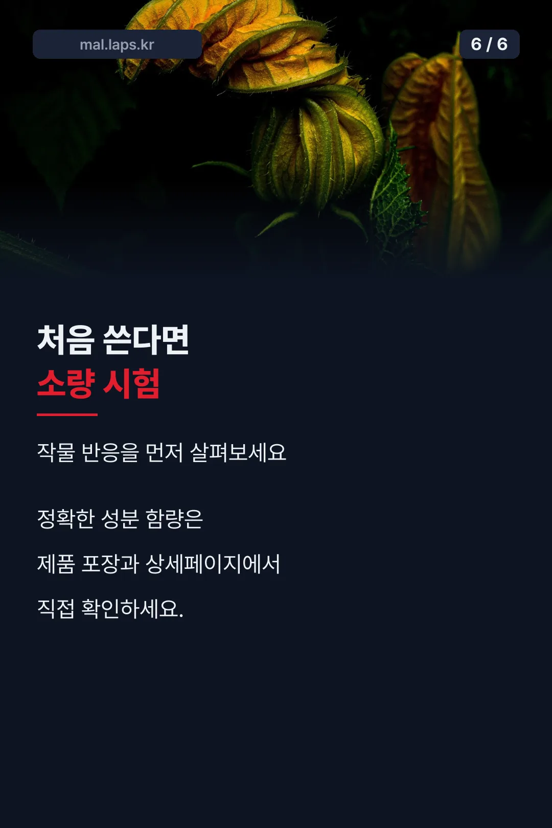 사용 전 주의사항 마무리