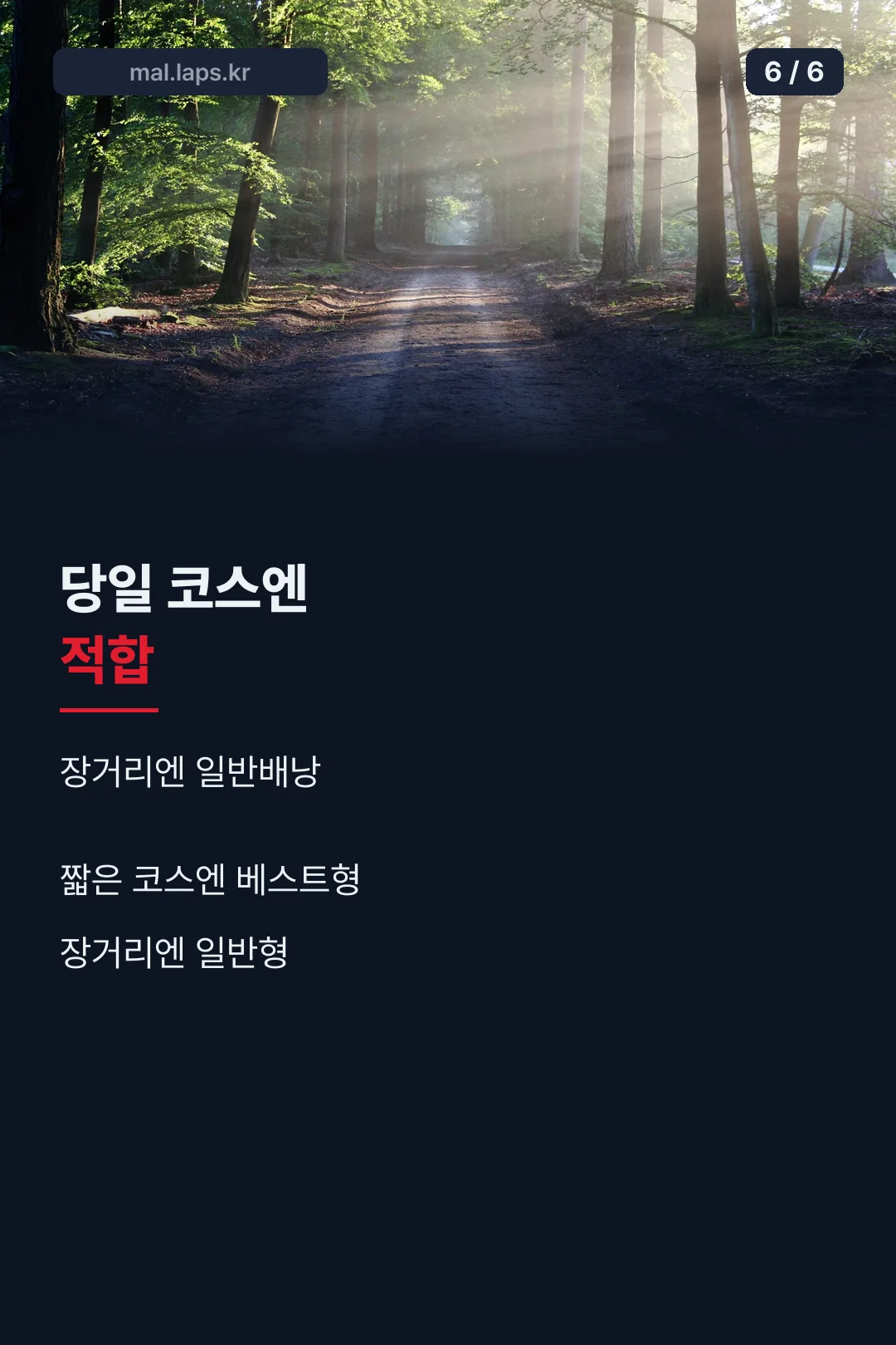 코스별 배낭 선택