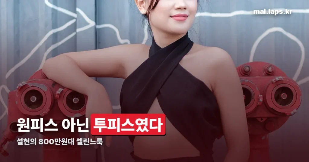 설현의 800만원대 셀린느룩 정리 썸네일