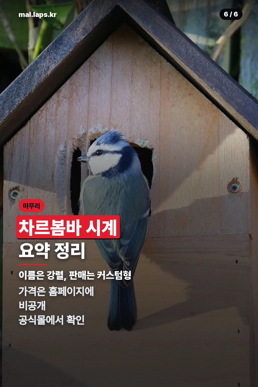 요약 정리