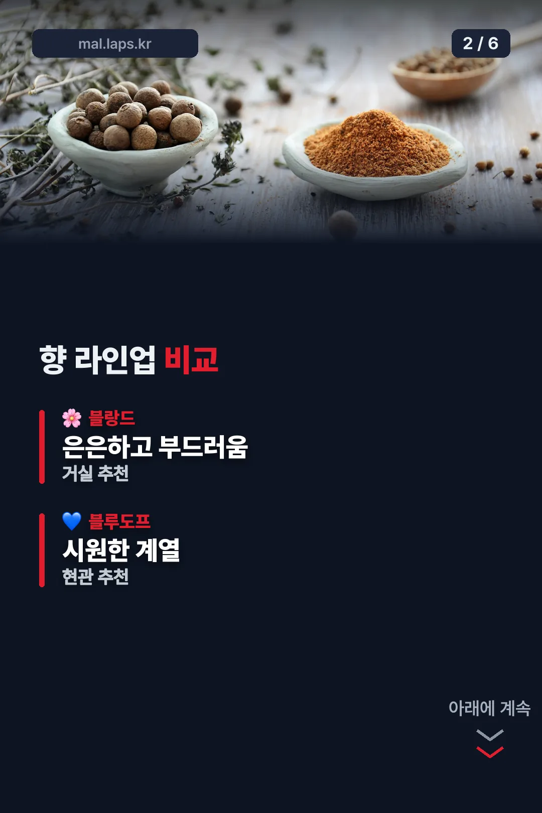 향 라인업 비교